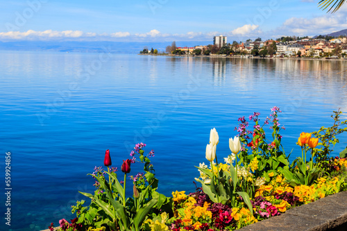 Fototapeta Naklejka Na Ścianę i Meble -  Beautiful view with colourful spring flowers on the Alps Mountains and Lake Geneva in Montreux, Switzerland