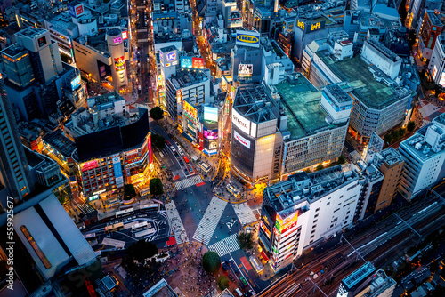 Aerial View of Shibuya scramble interesection in Tokyo, Japan at sunset © Tierney