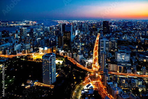 Aerial view of the skyline and cityscape at sunset in Minato, Tokyo, Japan