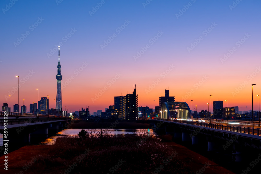 東京風景　jan.2023 荒川河川敷から望む