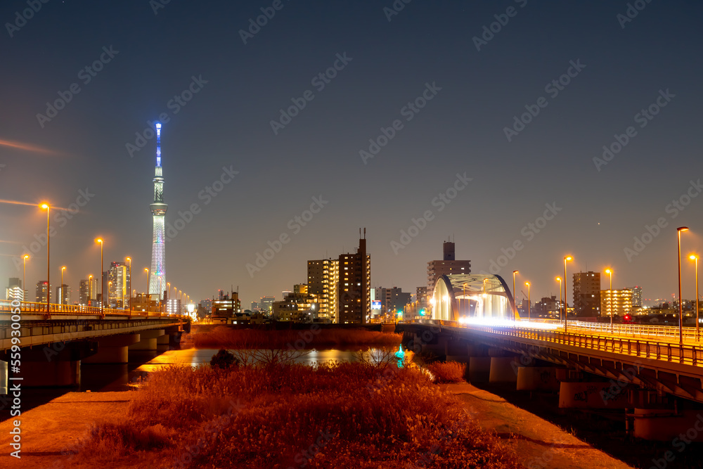Naklejka premium 東京風景 jan.2023 荒川河川敷から望む