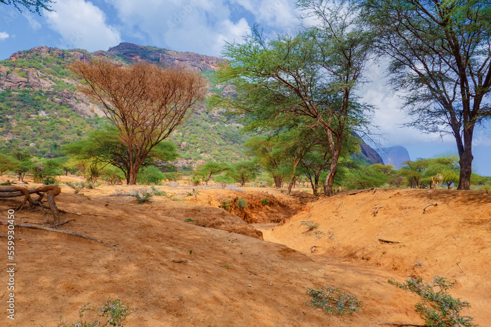 Fototapeta premium Scenic view of mountains at Ndoto Mountains Range in Ngurunit, Marsabit County, Kenya