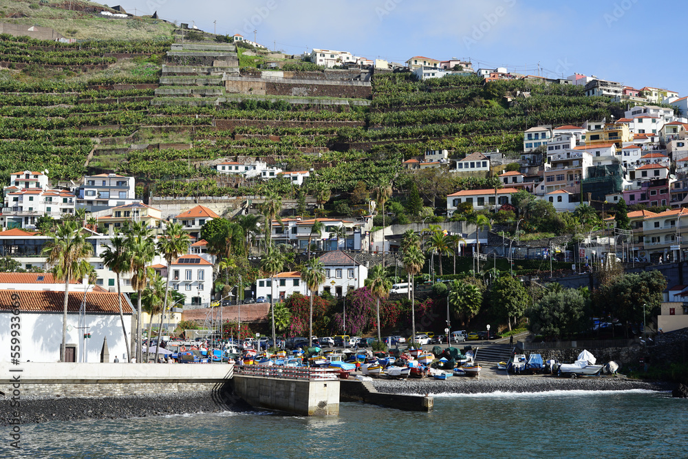 Marina and houses at Baía de Câmara de Lobos, Madeira, Portugal