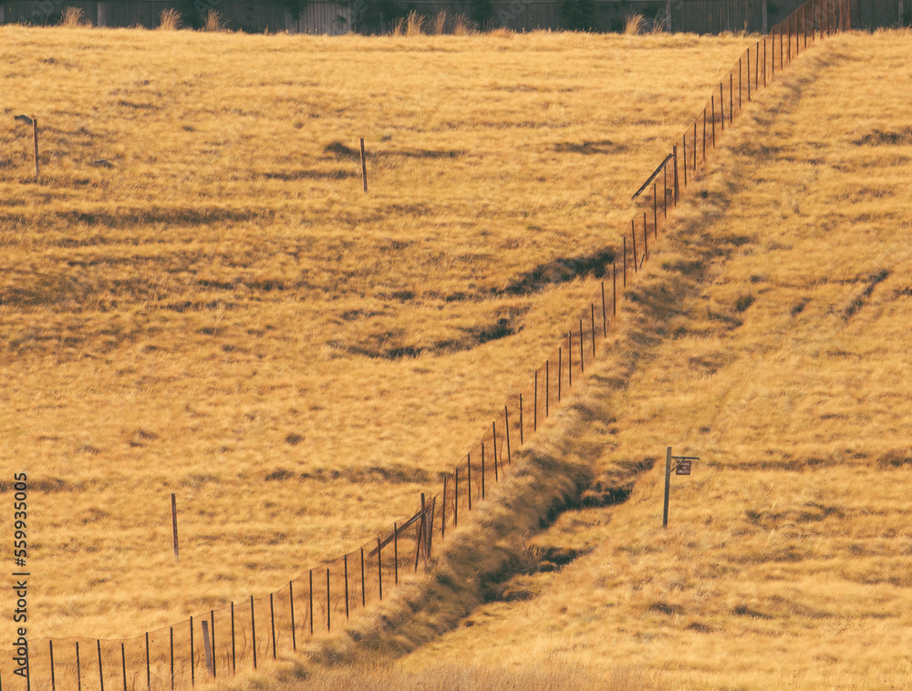 Obraz premium Dividing fence between two meadows on a hill, with dry winter grass.