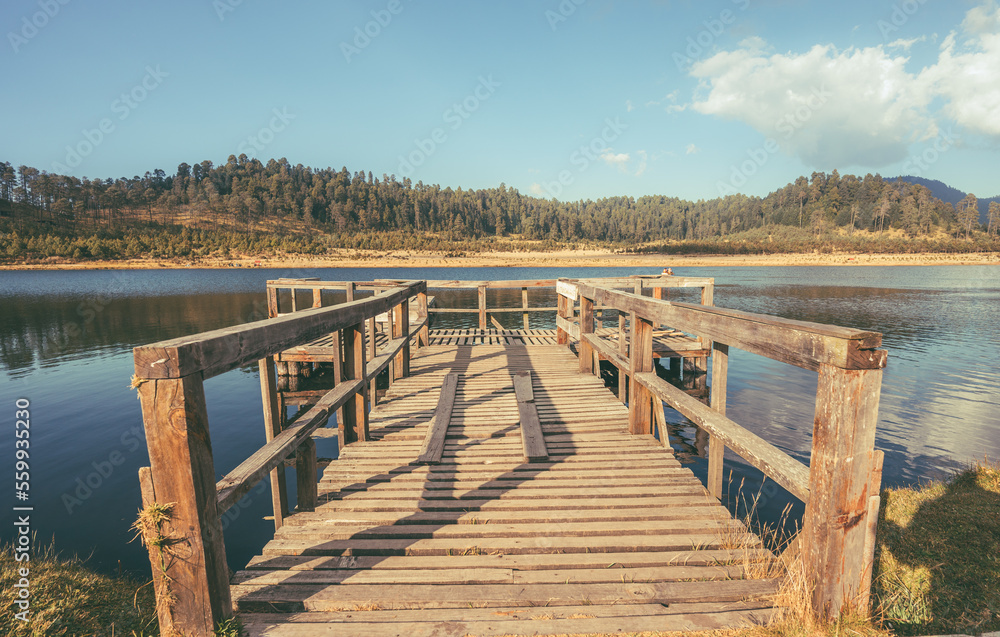 Forest landscape with a lake, a small jetty helps to guide the gaze.
