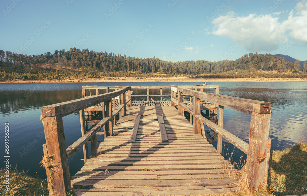 Forest landscape with a lake, a small jetty helps to guide the gaze. Forest landscape with a lake, a small jetty helps to guide the gaze.