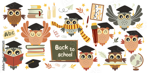 Cute wise owl flat icons set. Teaching at school, college and university. Bird in academical cap