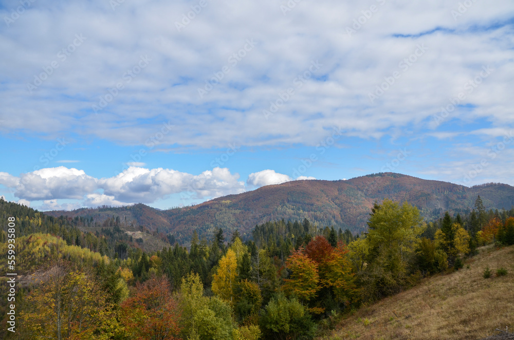 Colorful trees on slopes and mountain peaks in autumn day. Carpathian Mountains, Ukraine