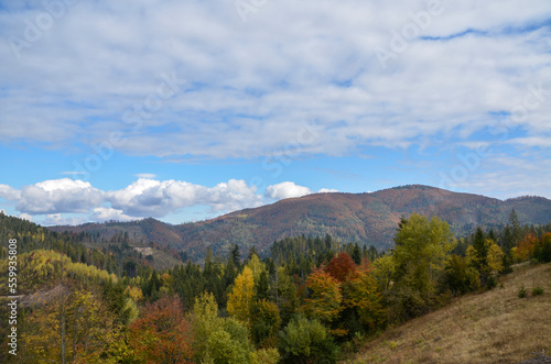 Colorful trees on slopes and mountain peaks in autumn day. Carpathian Mountains, Ukraine
