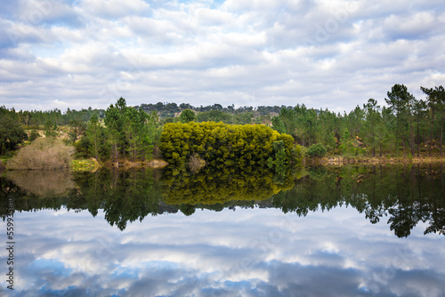 Fototapeta Naklejka Na Ścianę i Meble -  Lake in the woods with beautiful winter blue skies reflections
