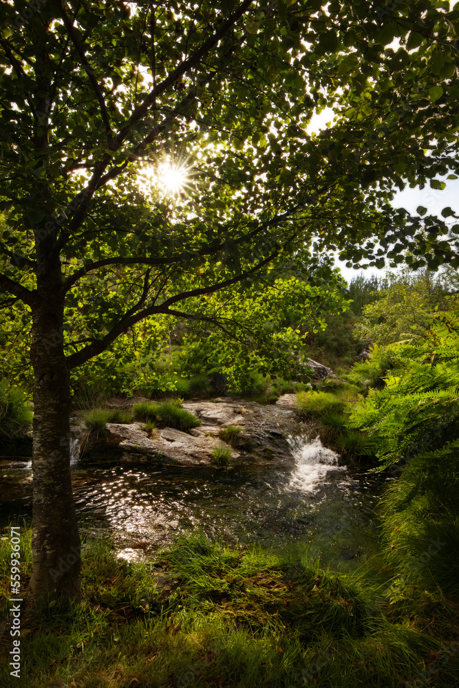 Natural Pool in Cal river, on the top of Folón an Picón trail