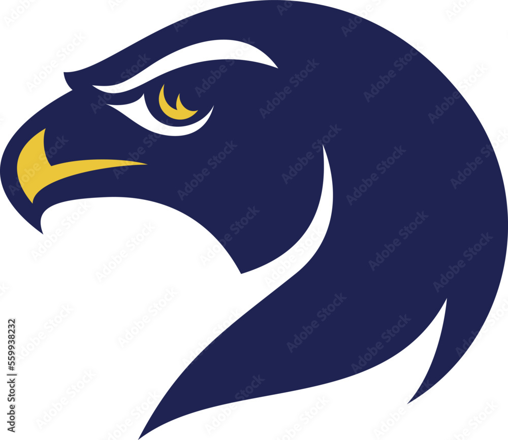 Simple Illustration of Hawk Head Simple Illustration of Hawk Head