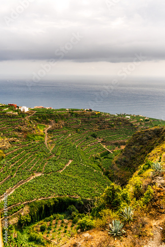 Paisaje con vegetación en la isla de La Palma.
