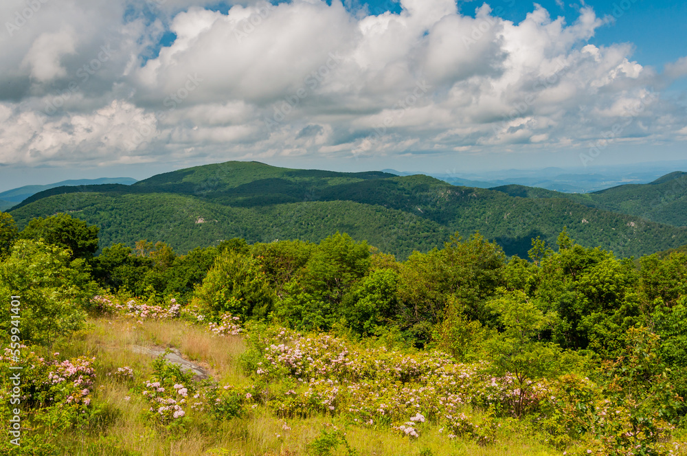 The First Day of Summer in the Appalachian Mountains, Virginia USA, Virginia The First Day of Summer in the Appalachian Mountains, Virginia USA, Virginia