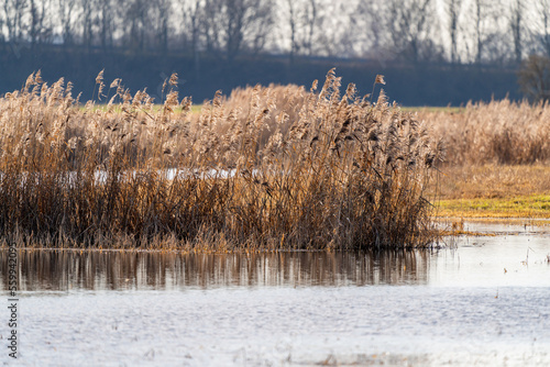 Wallpaper Mural Isarmoos Moor und Vogelschutzgebiet in Niederbayern | Mettenbacher-Grießbacher Moos Torontodigital.ca