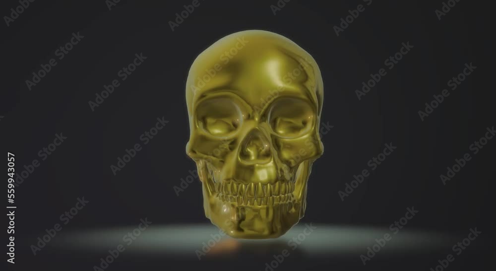 skull skeleton, human body anatomy, video skull skeleton, human body anatomy, video