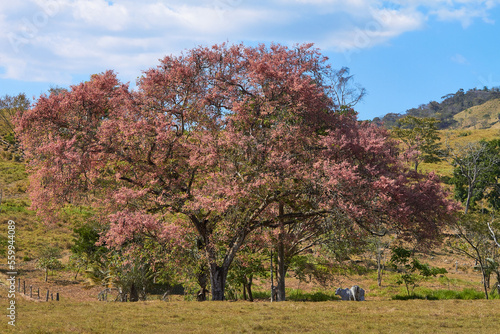 Fotografía Paisaje Guanacaste Costa Rica