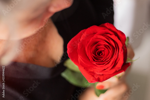 Overhead shot of a red rose being held by an unrecognizable woman.