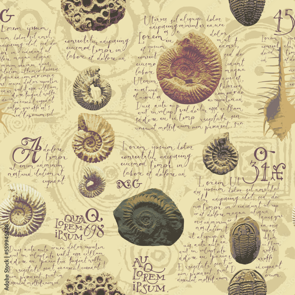 vector seamless pattern background with photo of ancient ammonite ...