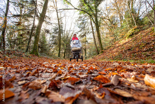 Woman walking with baby carriage through National Forest of Carnoet during Fall season, Finistere, Brittany, France photo