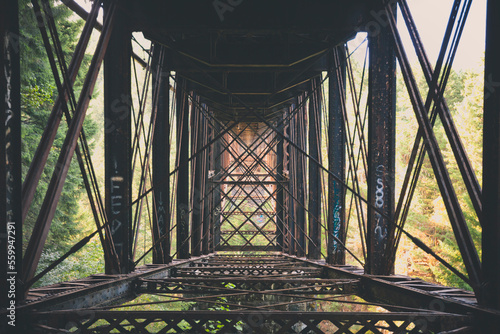 Abstract shot of steel supports beams and bracing below Goldstream Trestle