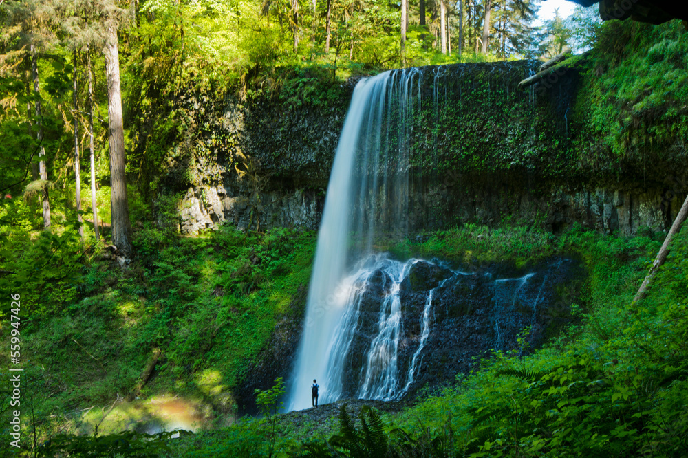 Silver Falls State Park, Oregon, USA Silver Falls State Park, Oregon, USA