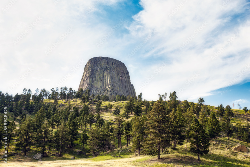 Devils Tower in Wyoming USA in a sunny summer landscape