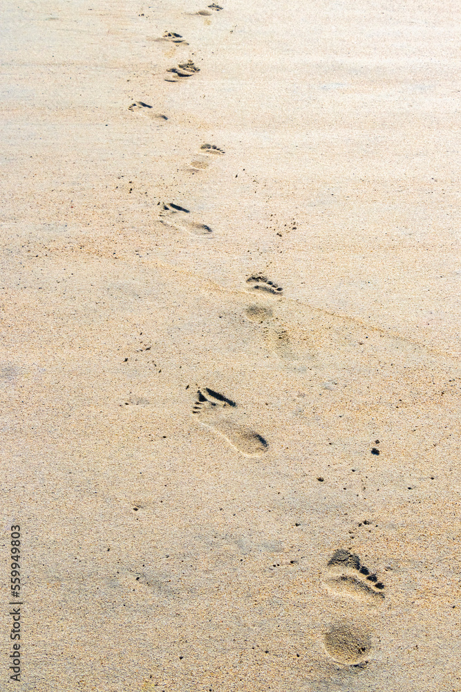 Footprint footprints on the beach sand by the water Mexico.