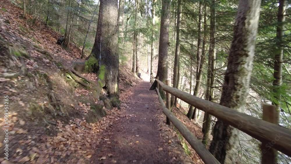 A forest path in the mountains of Ukraine. High mountain lake Synevyr. A forest path in the mountains of Ukraine. High mountain lake Synevyr.