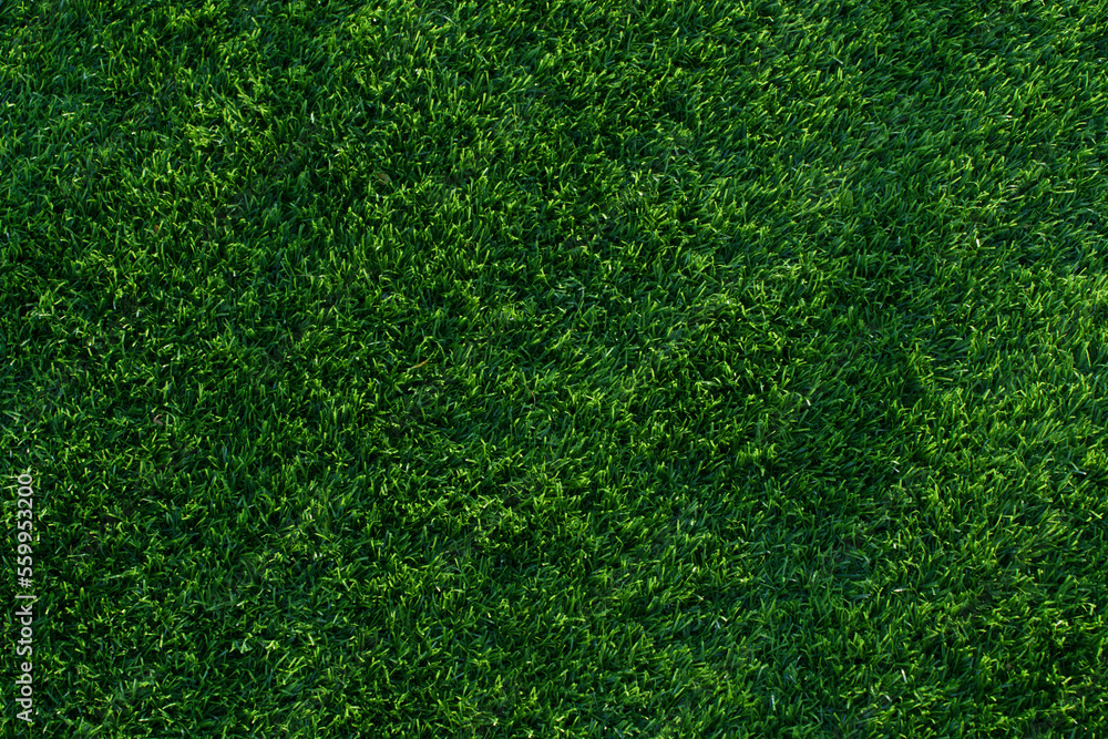 Fototapeta premium green grass texture
