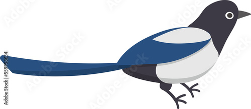 Cartoon comic vector illustration icon of magpie or blue magpie, bird photo