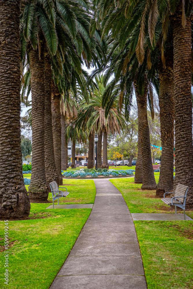 Walking path through the Edwards Park in Port Melbourne, Australia Walking path through the Edwards Park in Port Melbourne, Australia