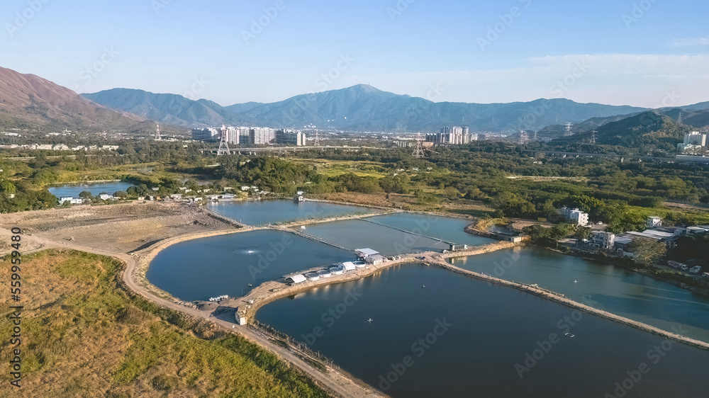 6 Jan 2023 Shan Pui Fish Pond, Nam Sang Wai, hong kong