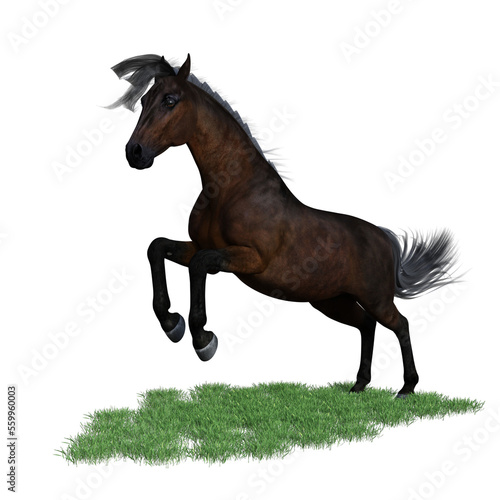 Horse pose illustration 3d rendering