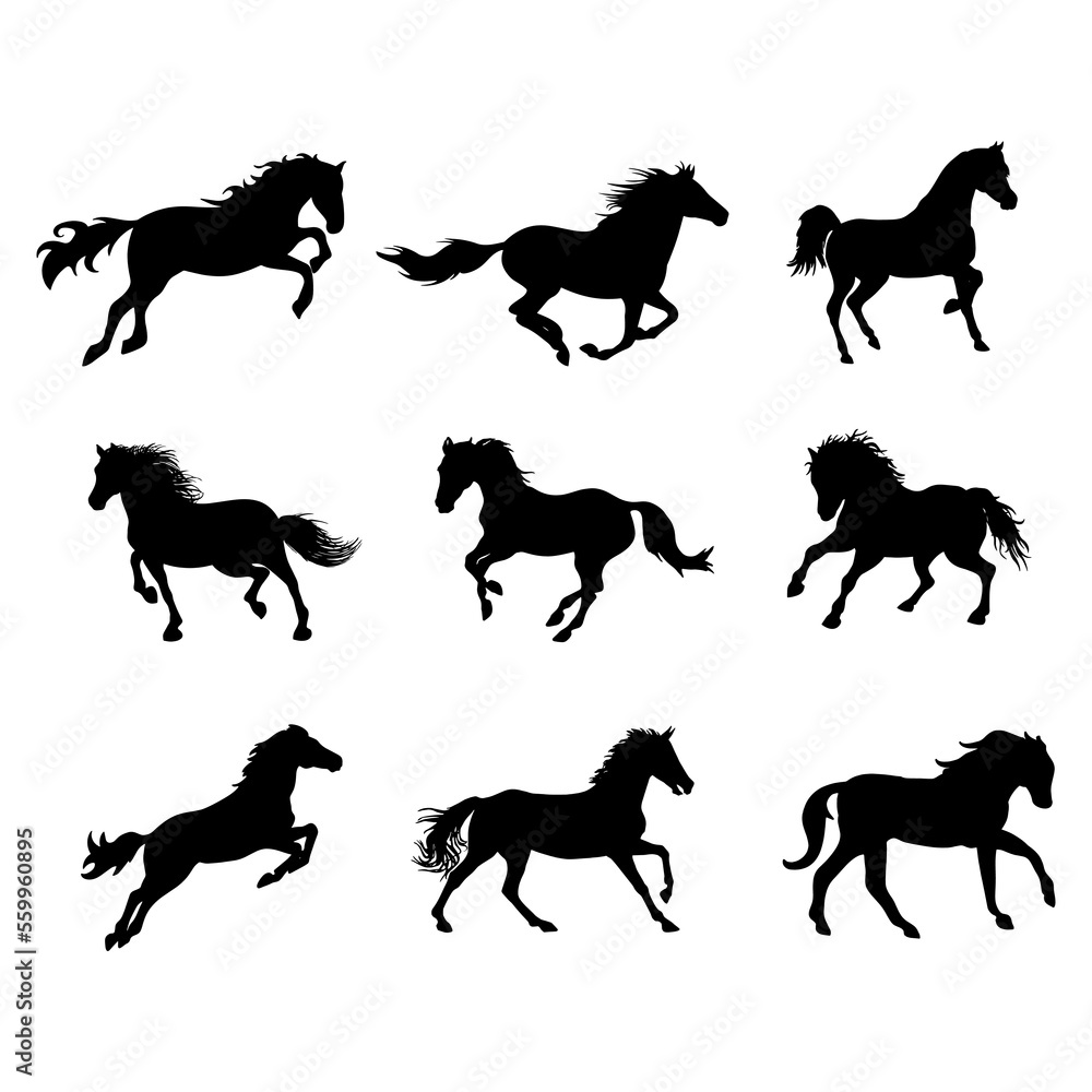 Set silhouette of wild horses in isolate on a white background. Vector illustration. Set silhouette of wild horses in isolate on a white background. Vector illustration.