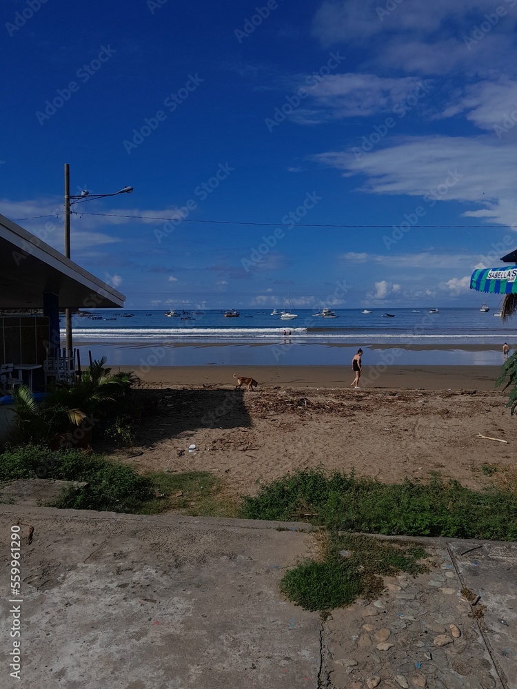 Obraz premium beach and sea