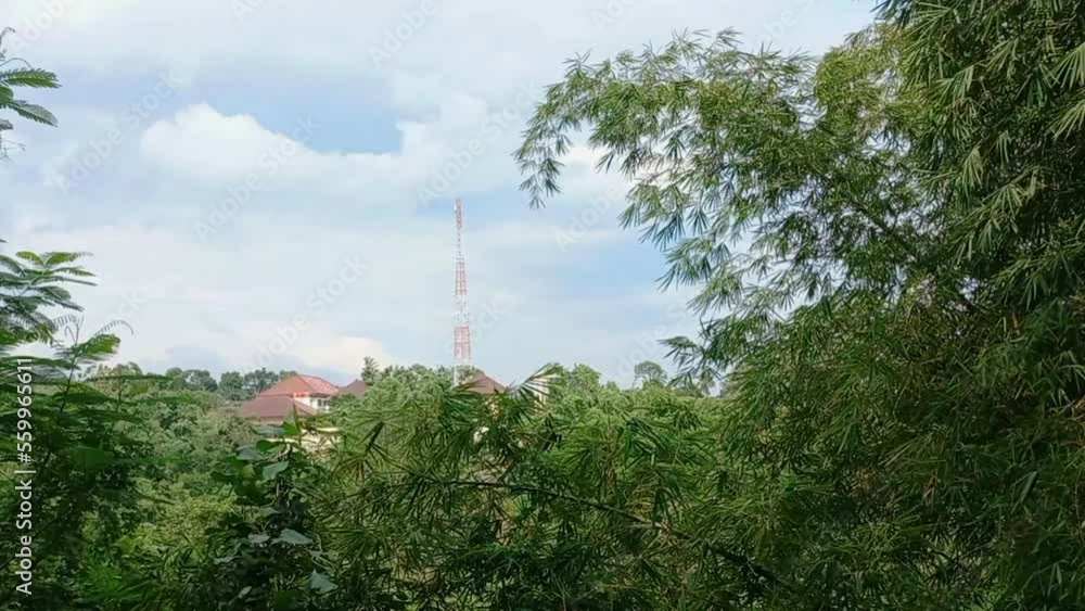 River from above surrounding by green tall tree under bright blue sky in the afternoon River from above surrounding by green tall tree under bright blue sky in the afternoon