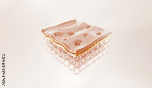 large pores skin layer and, reduce up saggy skin of the skin cell. 3d rendering.   photo