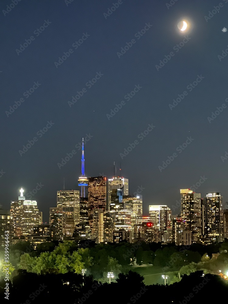 Fototapeta premium city skyline at night
