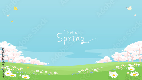 Photographie Spring flowers background with copy space
