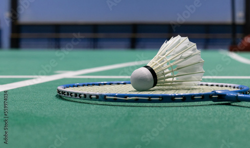 The shuttlecock is on the badminton racket on the floor in the playing field.