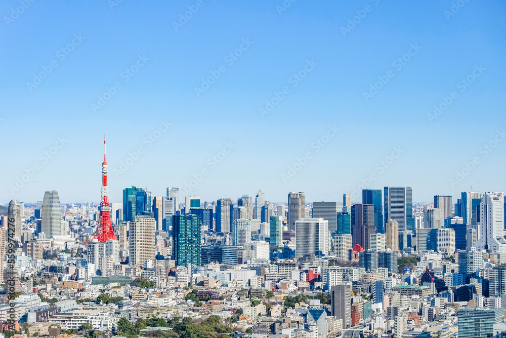 Obraz premium 日本の首都東京都の風景