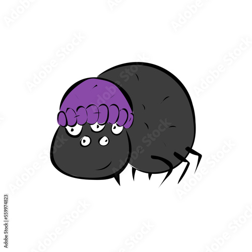 Spinne
