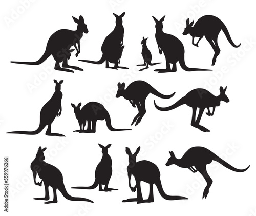 Fototapeta Naklejka Na Ścianę i Meble -  Kangaroo illustrated silhouette, stencil templates set. Objects for packaging design, tattoo, items for cutting, printing sublimation