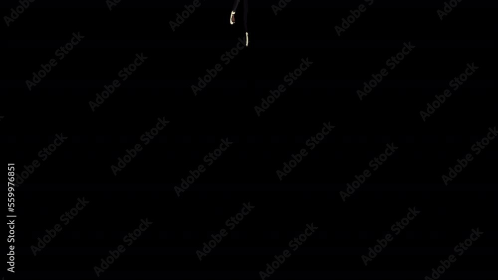 Black Cat jumping and climbs up alpha matte HD Black Cat jumping and climbs up alpha matte HD