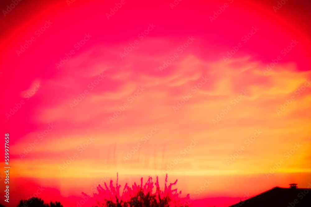 Obraz premium sunset, sky, sun, clouds, tree, nature, landscape, trees, orange, sunrise, evening, silhouette, cloud, red, light, dusk, forest, beautiful, blue, color, golden, yellow, weather, summer, colorful