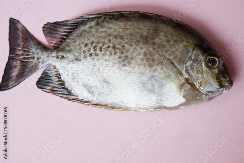 rabbitfish on a plate