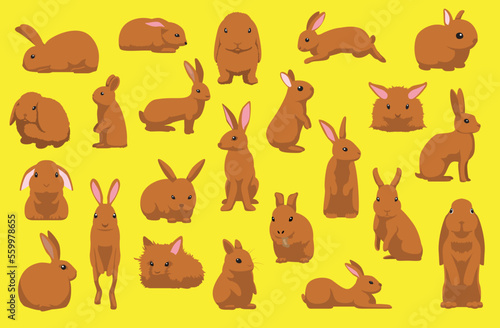 Cute Brown Rabbit Poses Cartoon Vector Illustration
