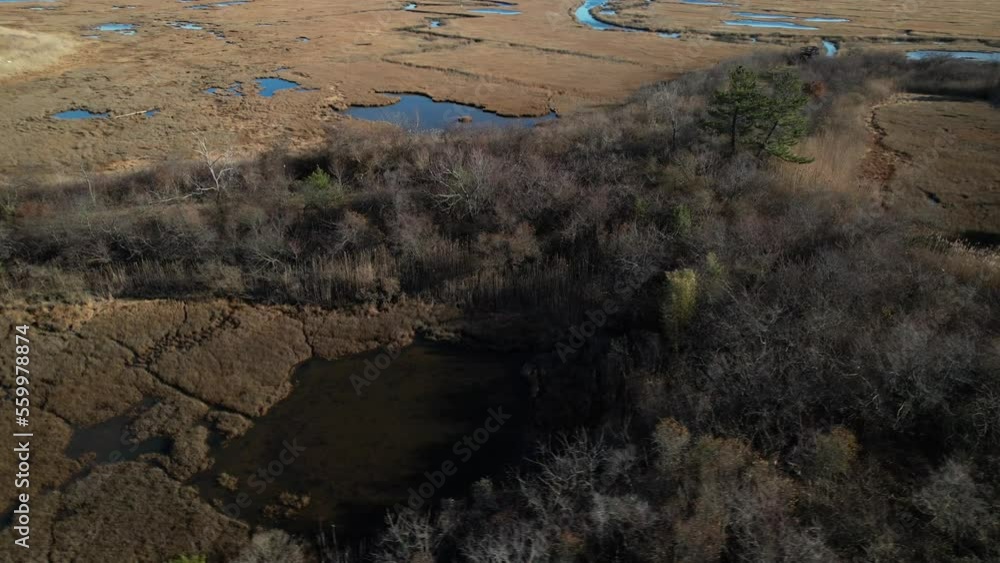 An aerial view of the dry grass and salt marsh in Freeport, NY on a sunny day. The drone camera truck right and pan left circling the calm scene with patches of water, brown grass and trees. An aerial view of the dry grass and salt marsh in Freeport, NY on a sunny day. The drone camera truck right and pan left circling the calm scene with patches of water, brown grass and trees.