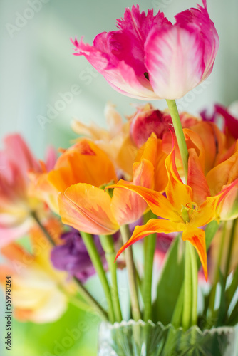 Fototapeta Naklejka Na Ścianę i Meble -  colorful tulips in the vase